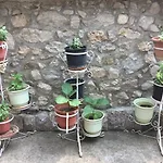别墅 Tradicionale Violeta 科尔察