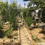 Tradicionale Violeta 科尔察