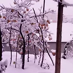 别墅 Tradicionale Violeta 科尔察