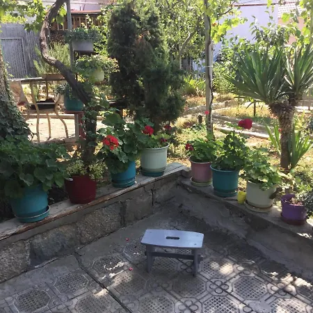 Tradicionale Violeta Villa