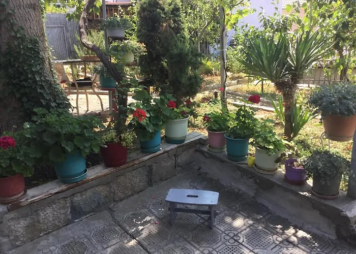Tradicionale Violeta Villa