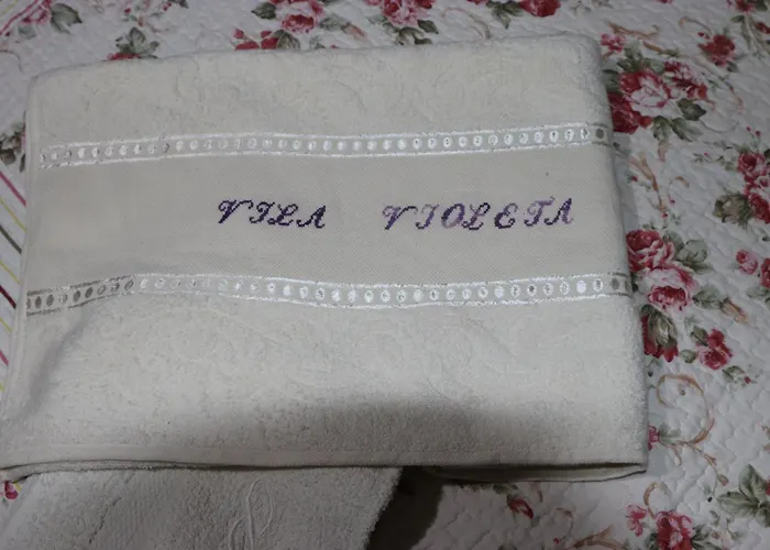 Villa Tradicionale Violeta *