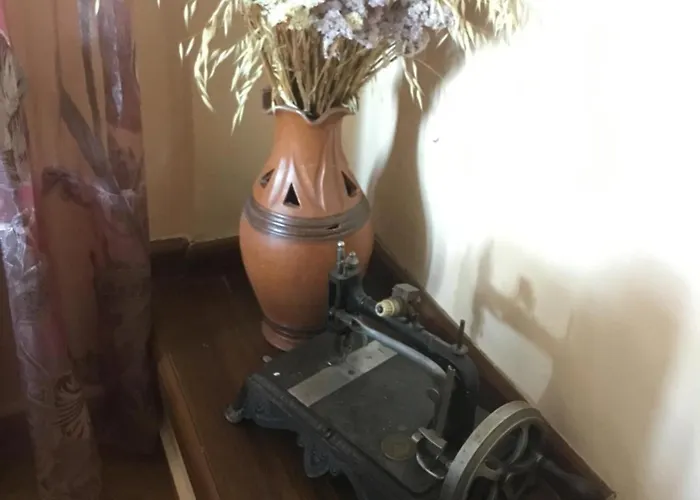 Tradicionale Violeta Villa *