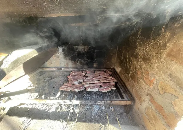 Tradicionale Violeta