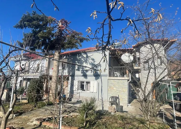 Villa Tradicionale Violeta Korce