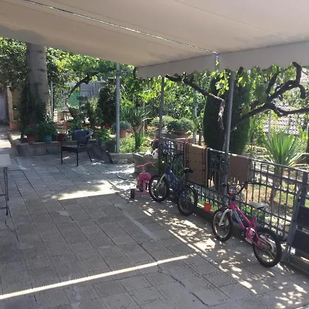 Tradicionale Violeta * Korce