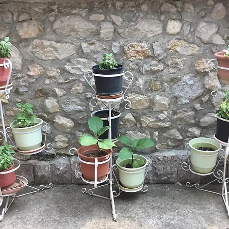 Villa Tradicionale Violeta Korce