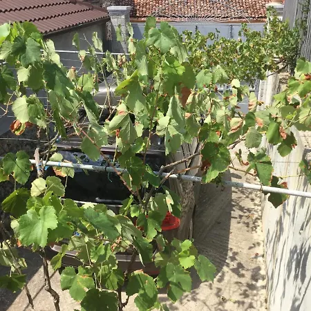 Villa Tradicionale Violeta *