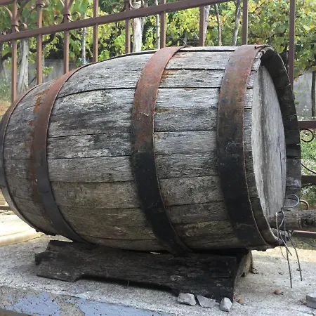 Tradicionale Violeta Korce