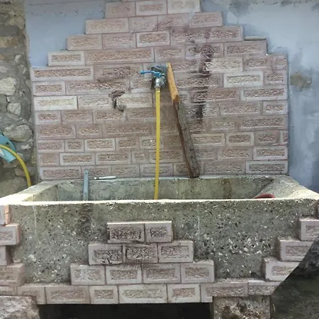 Tradicionale Violeta Villa *