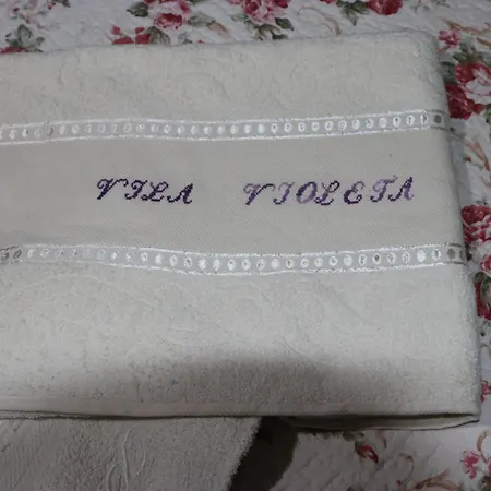 Villa Tradicionale Violeta *