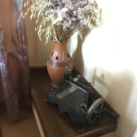 Tradicionale Violeta Villa *