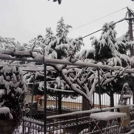 Villa Tradicionale Violeta *