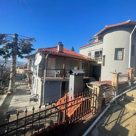 Tradicionale Violeta Villa *