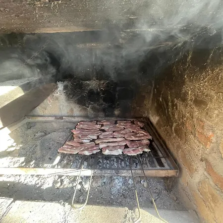 Tradicionale Violeta