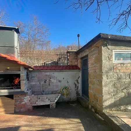 Tradicionale Violeta Korce