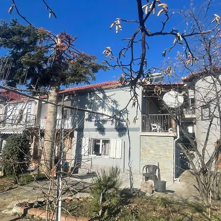 Villa Tradicionale Violeta Korce