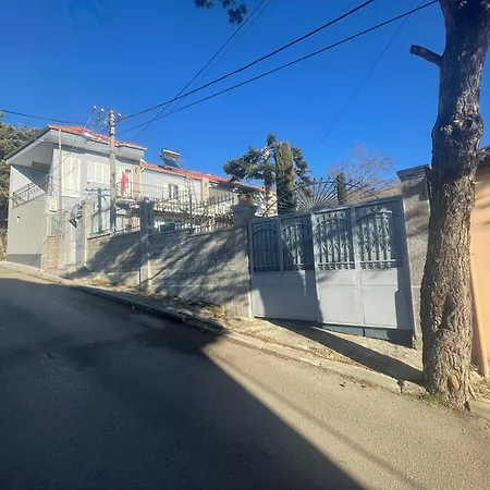 Tradicionale Violeta *