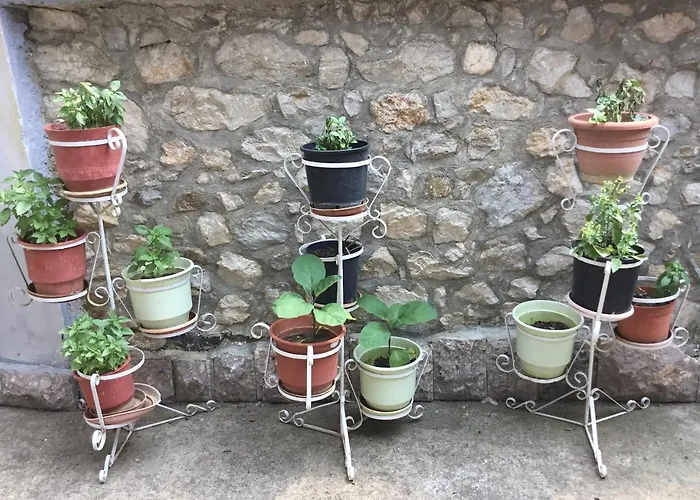 Villa Tradicionale Violeta Korce